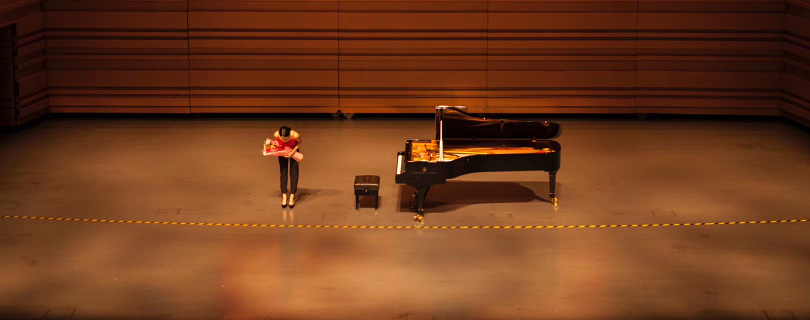 Solo recital with Steinway grand
